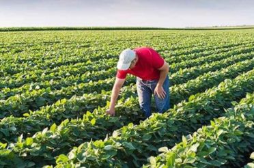 ESONERO CONTRIBUTIVO PER IMPRENDITORI AGRICOLI PROFESSIONALI E COLTIVATORI DIRETTI UNDER 40